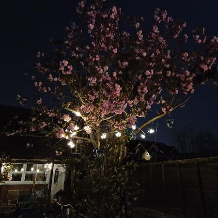 Lotus Pod House Homestay Horsell Exterior photo