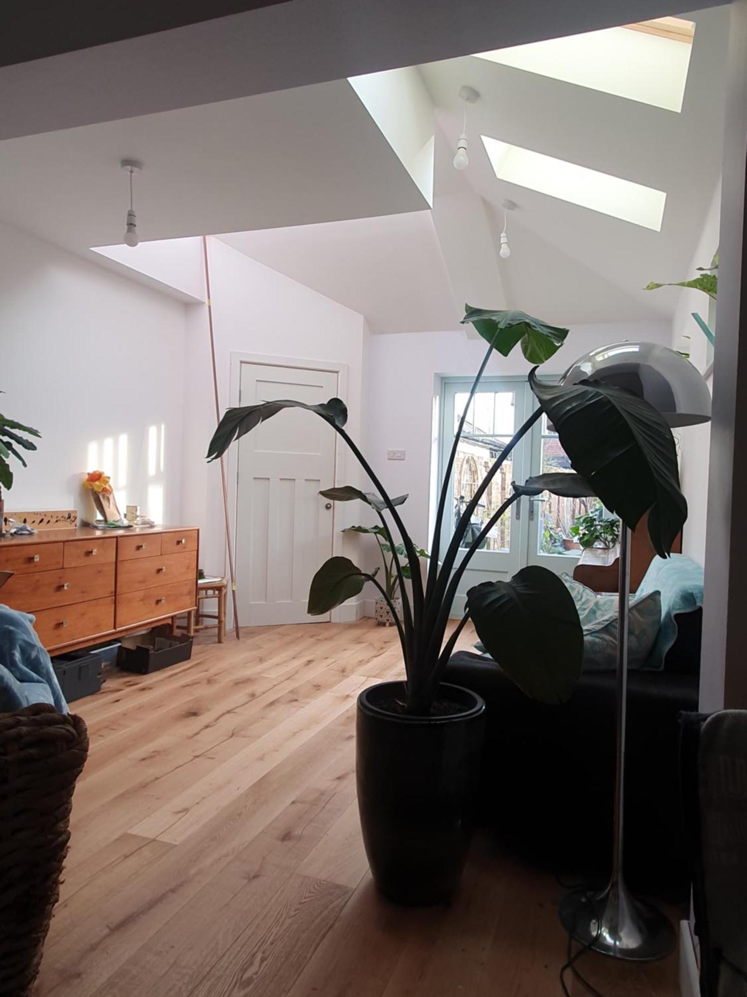 Lotus Pod House Homestay Horsell Exterior photo