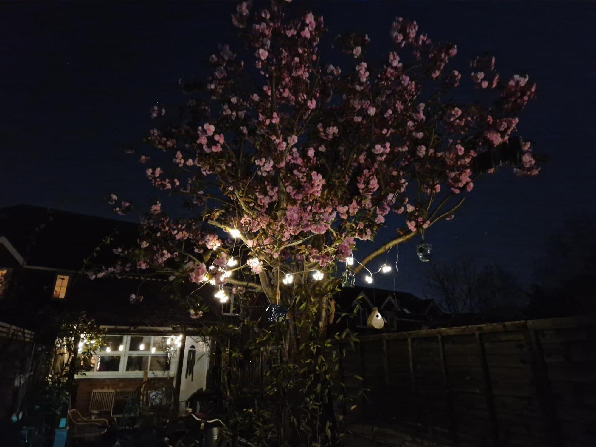 Lotus Pod House Homestay Horsell Exterior photo