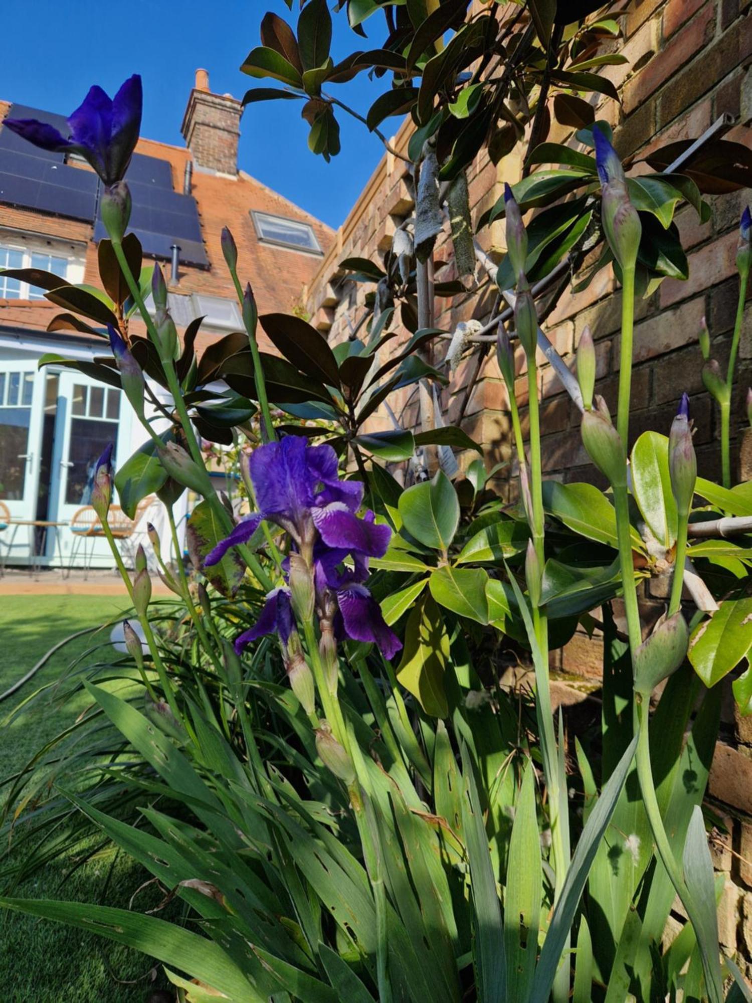 Lotus Pod House Homestay Horsell Exterior photo